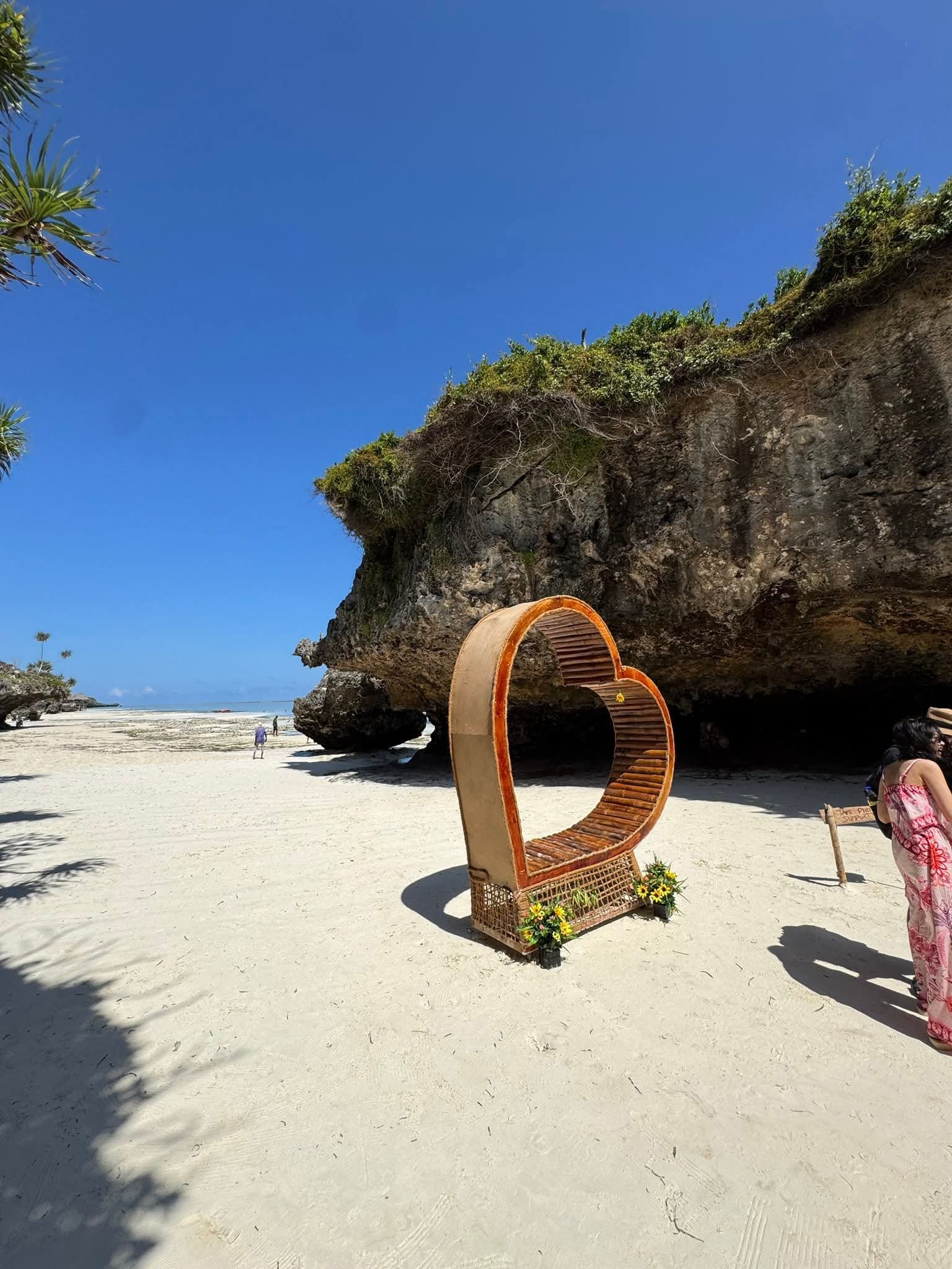 Jozani Forest The Rock Paje Szkoła Mtende Zanzibar
