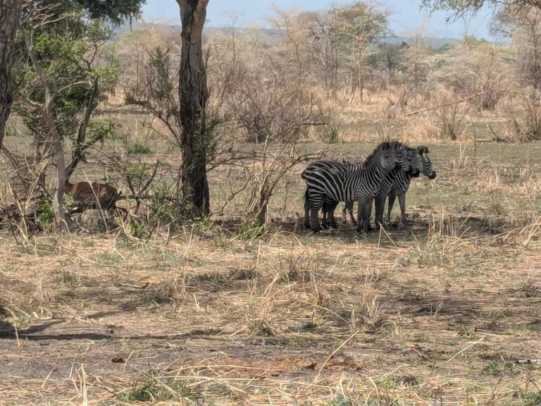 FB_IMG_1766922589816 — kopia (2)