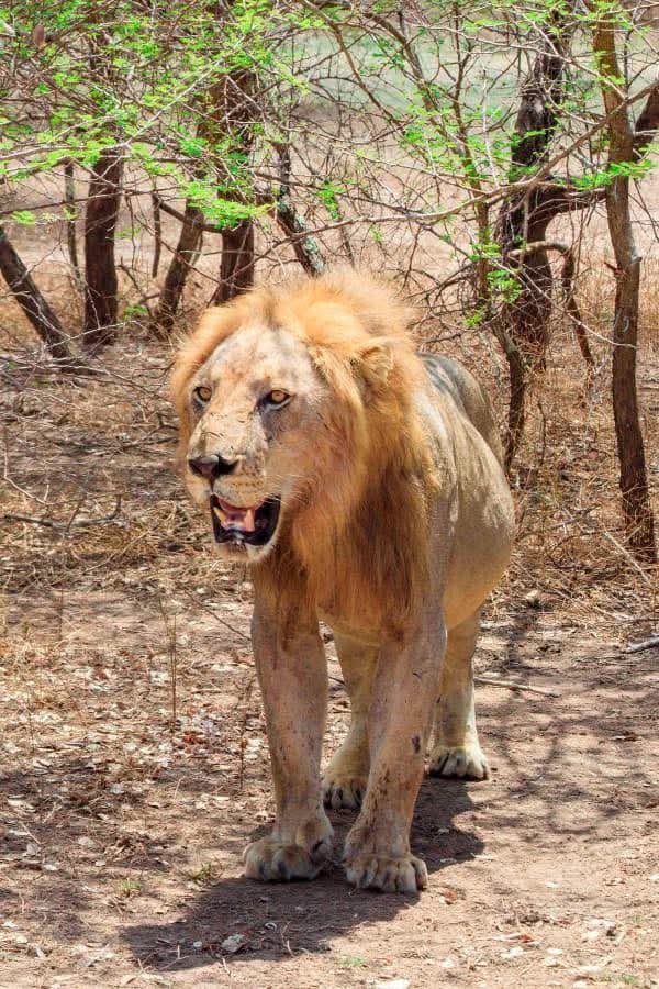 FB_IMG_1766922816858 — kopia (2)