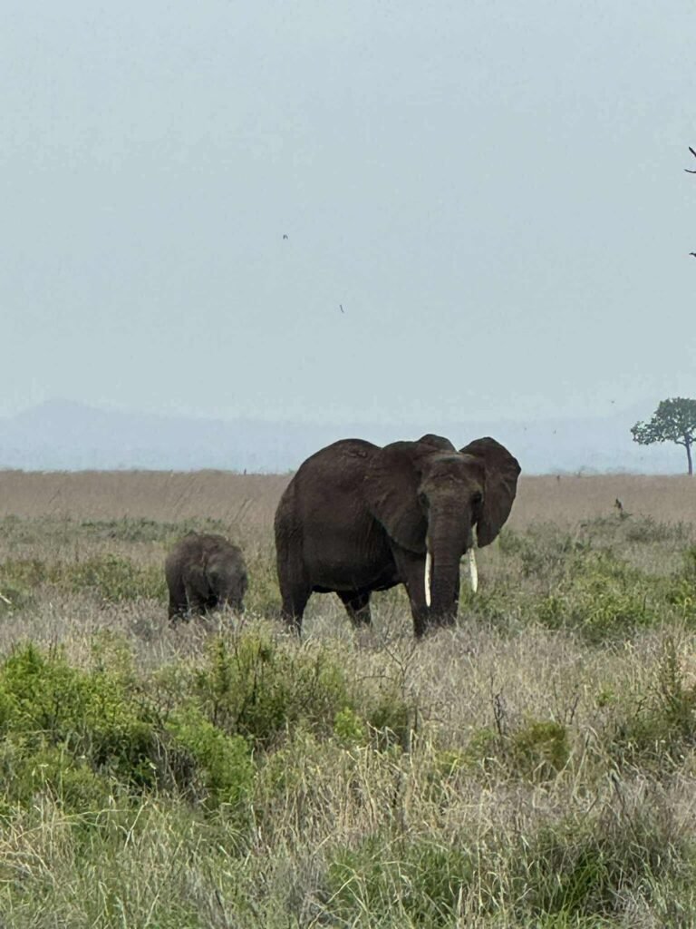 WhatsApp Image 2026-01-06 at 11.06.17 (1)