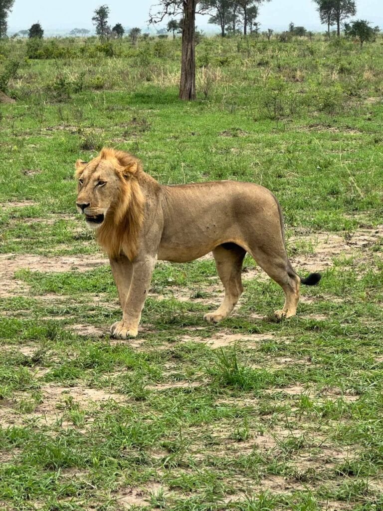 WhatsApp Image 2026-01-06 at 11.06.17