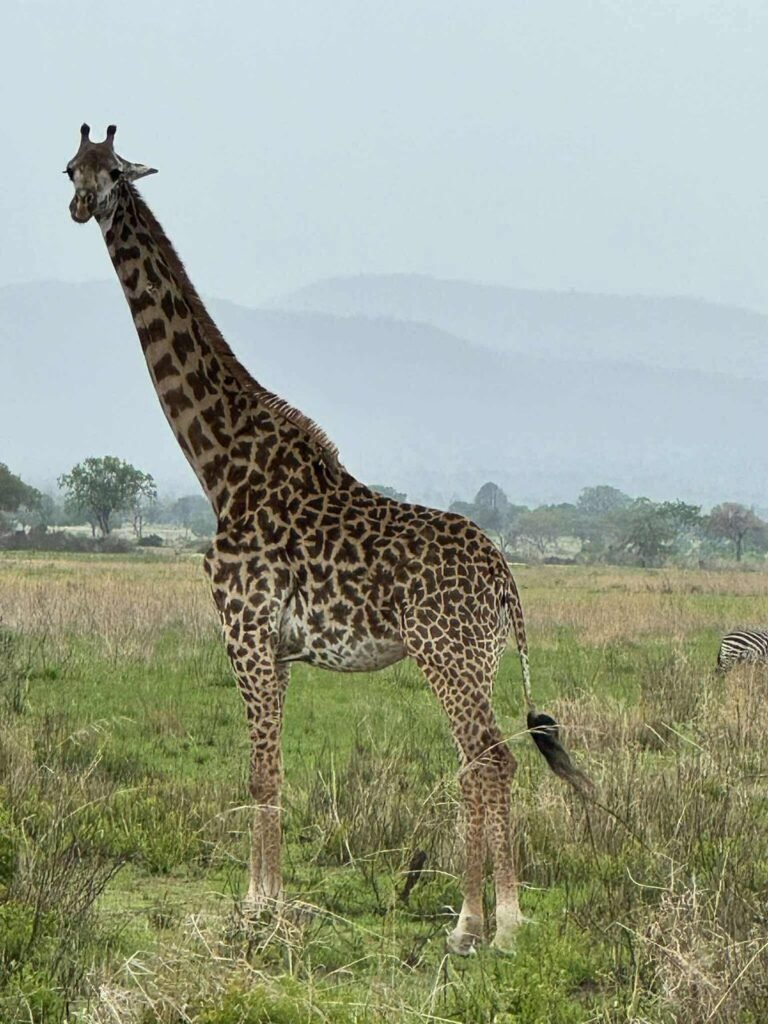 WhatsApp Image 2026-01-06 at 11.06.19 (1)