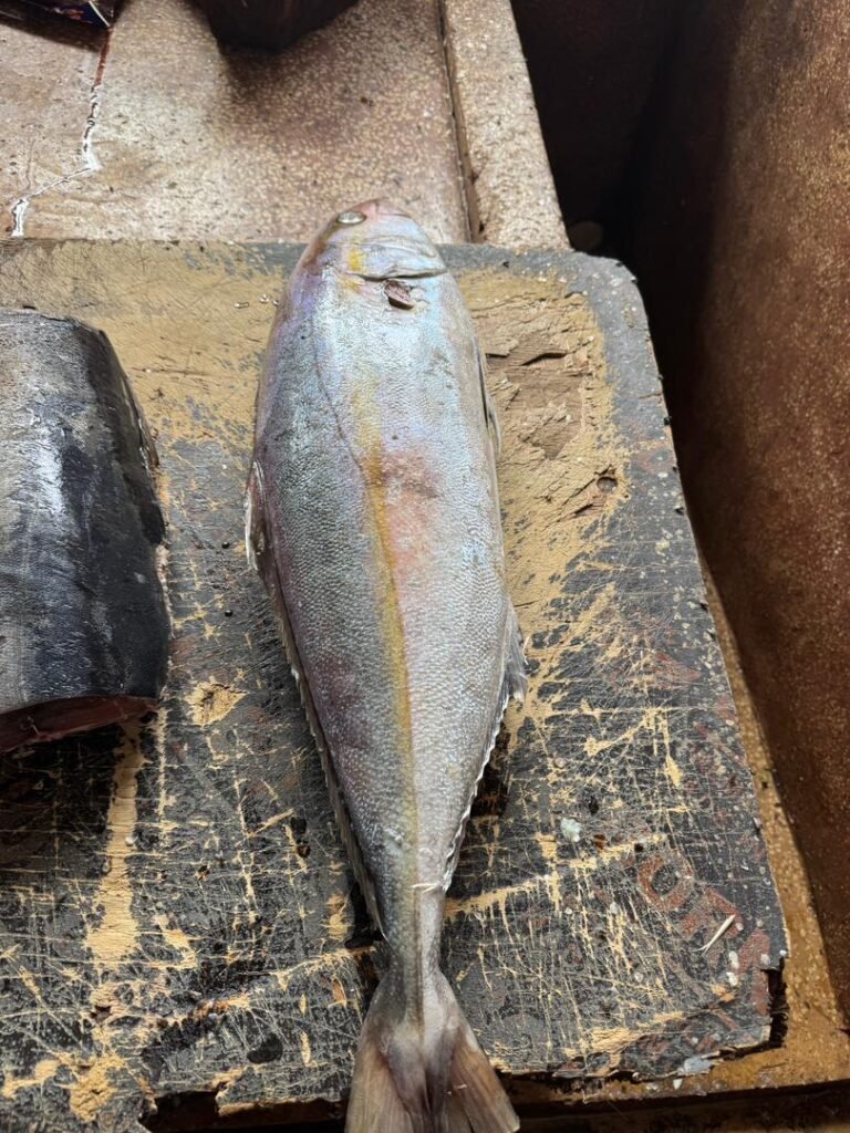 WhatsApp Image 2026-01-07 at 21.37.16 (1)