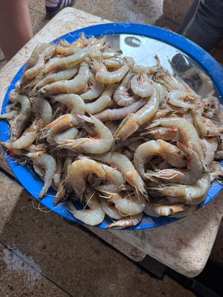 WhatsApp Image 2026-01-07 at 21.37.16