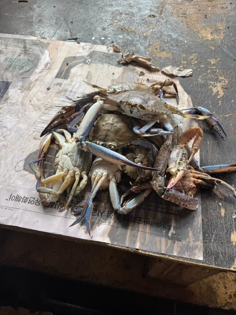 WhatsApp Image 2026-01-07 at 21.37.17