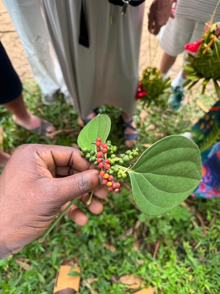 WhatsApp Image 2026-01-07 at 21.37.20