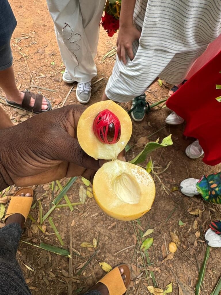 WhatsApp Image 2026-01-07 at 21.37.21 (1)