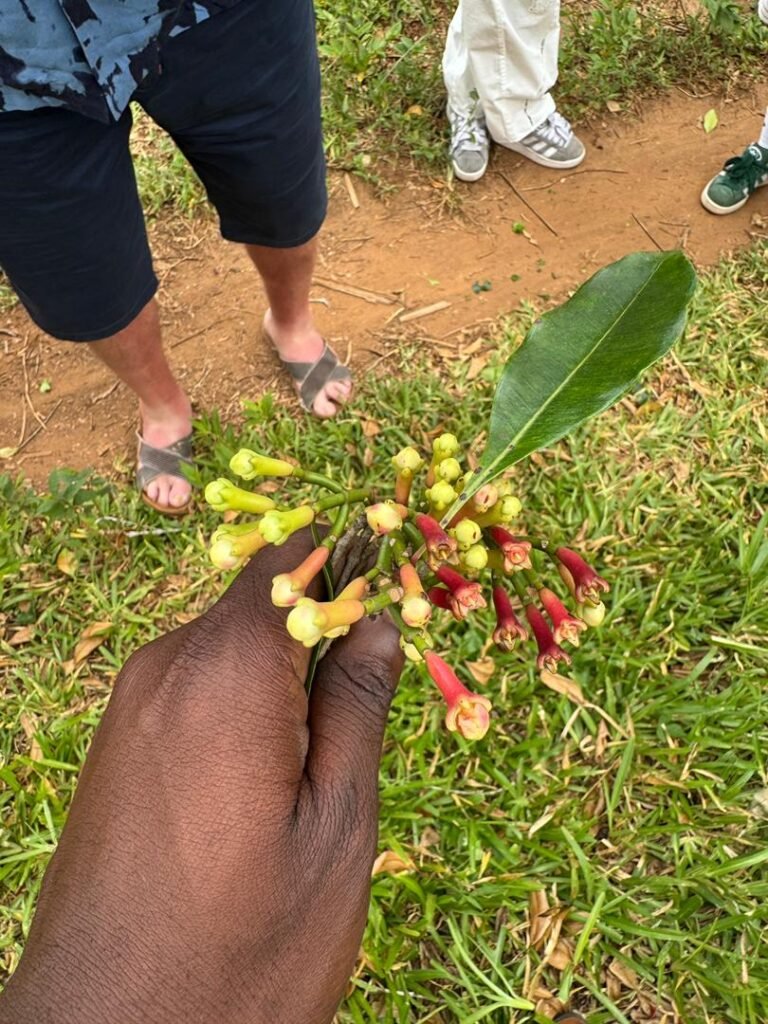 WhatsApp Image 2026-01-07 at 21.37.22