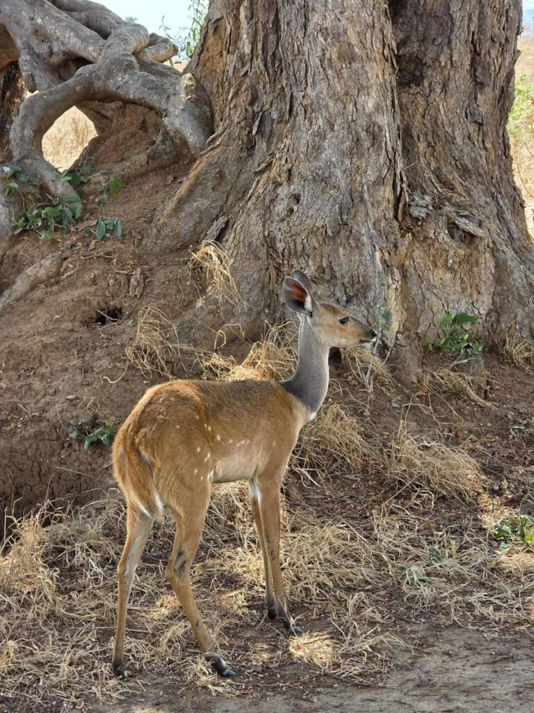 WhatsApp Image 2026-01-07 at 21.40.20