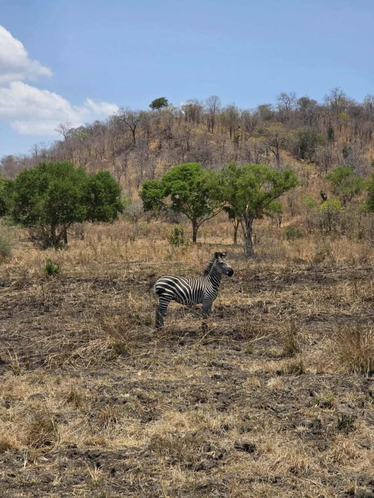 WhatsApp Image 2026-01-07 at 21.40.23 (1)