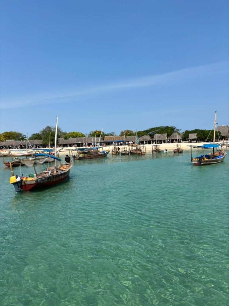 WhatsApp Image 2026-01-07 at 21.42.52 (1)