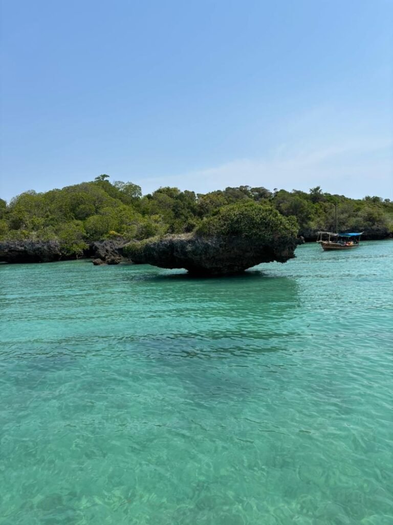 WhatsApp Image 2026-01-07 at 21.42.53