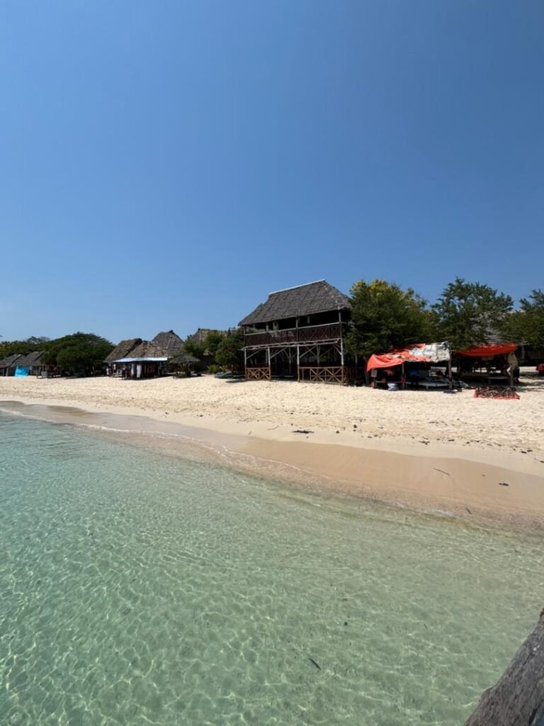 WhatsApp Image 2026-01-07 at 21.42.55