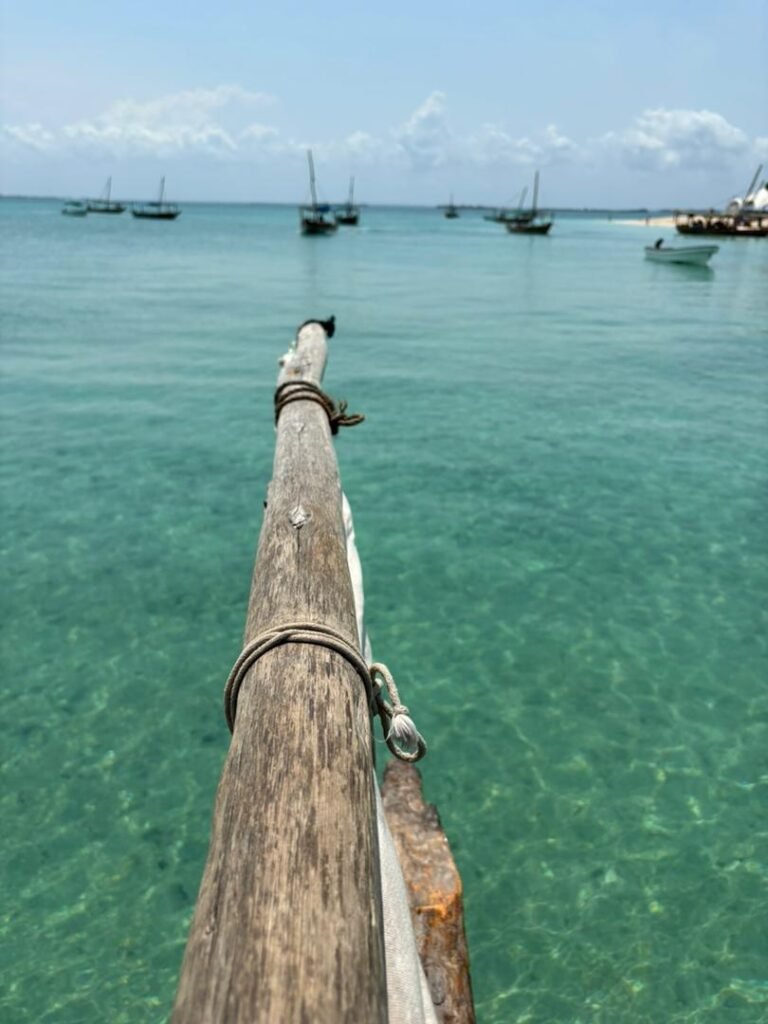 WhatsApp Image 2026-01-07 at 21.42.56