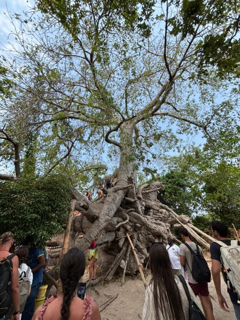 WhatsApp Image 2026-01-07 at 21.42.57 (1)