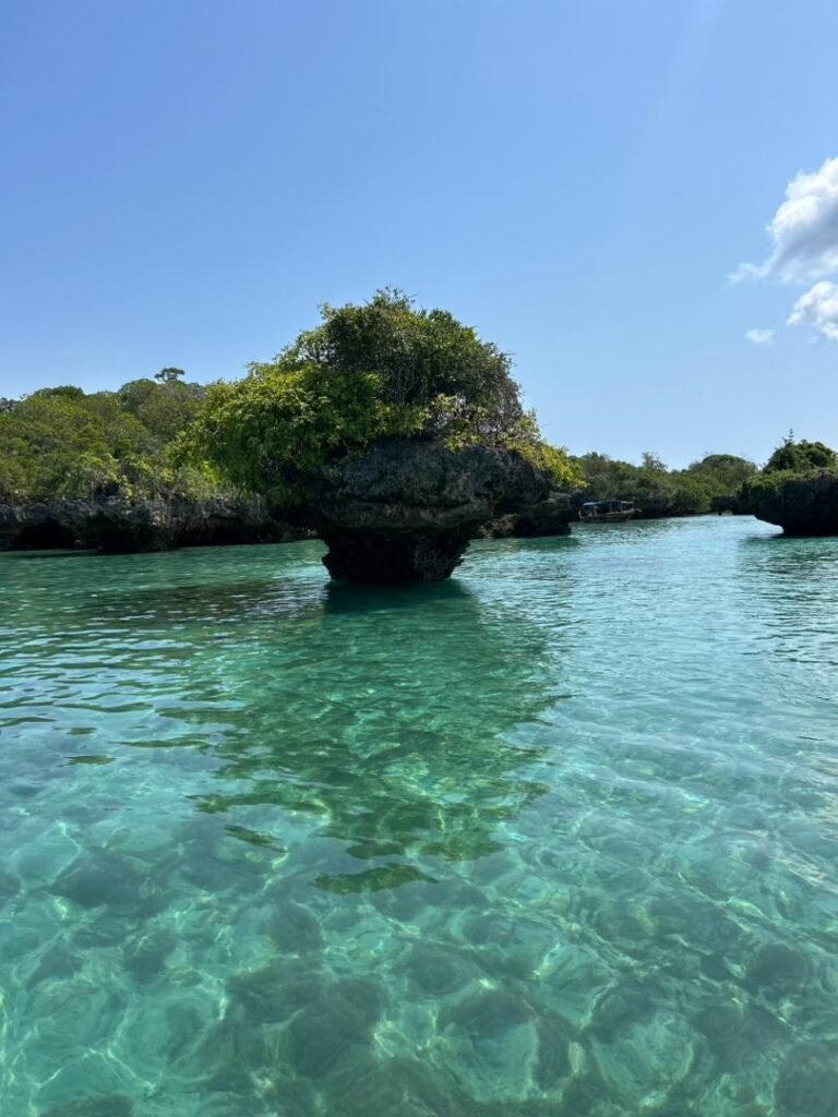 WhatsApp Image 2026-01-07 at 21.43.00