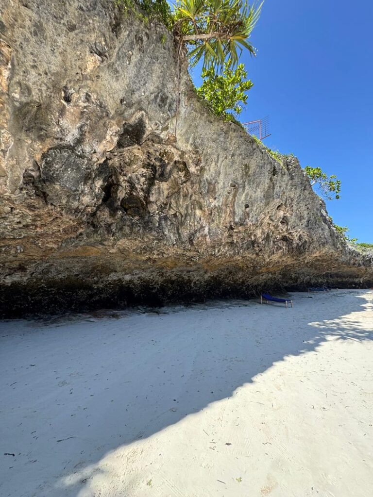 WhatsApp Image 2026-01-07 at 21.45.02 (1)