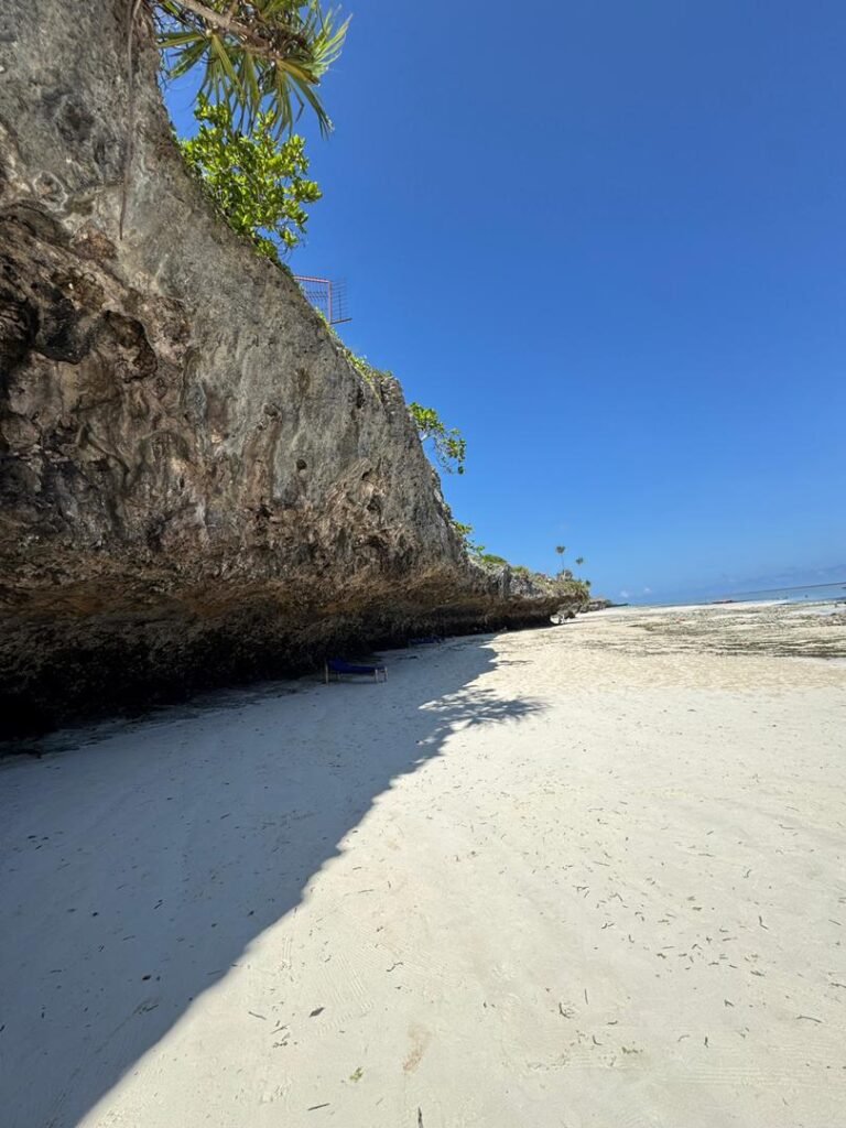 WhatsApp Image 2026-01-07 at 21.45.02