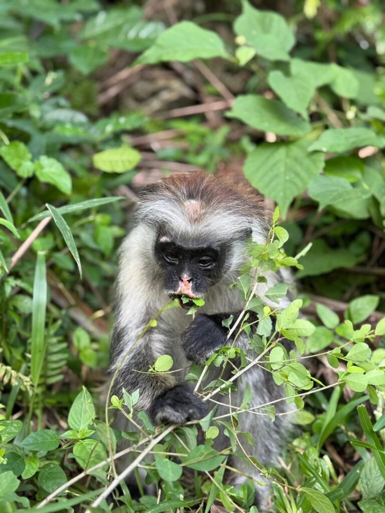 WhatsApp Image 2026-01-07 at 21.45.29