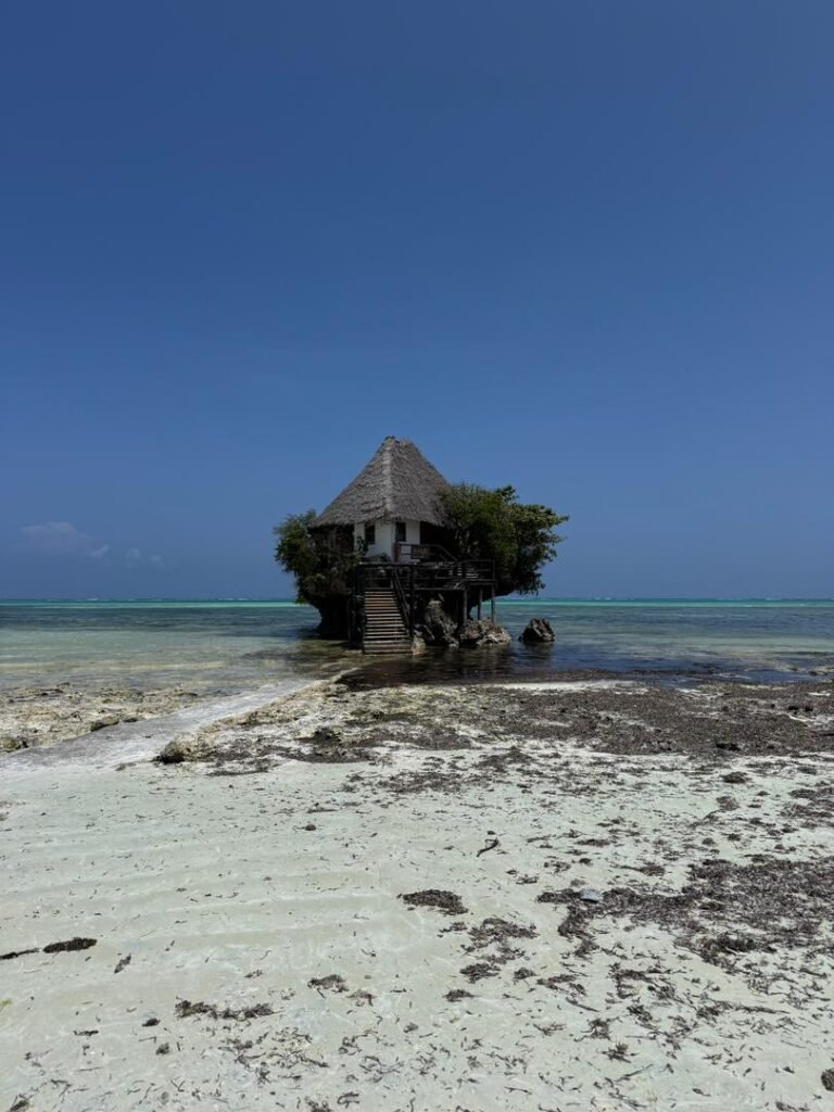 WhatsApp Image 2026-01-07 at 21.45.33