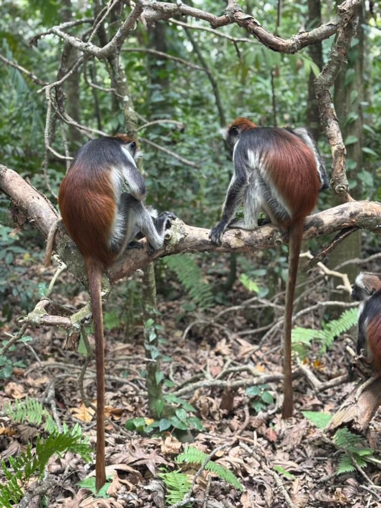 WhatsApp Image 2026-01-07 at 21.47.11 (1)