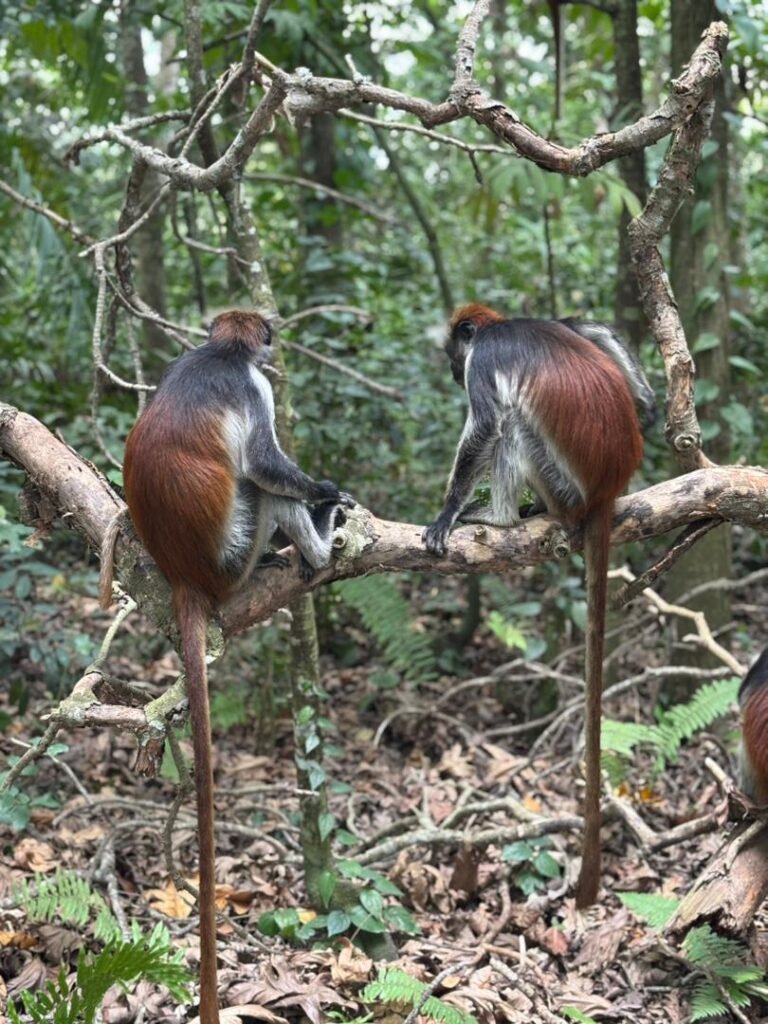 WhatsApp Image 2026-01-07 at 21.47.11