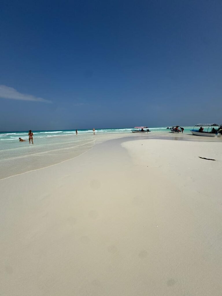 WhatsApp Image 2026-01-07 at 21.53.16