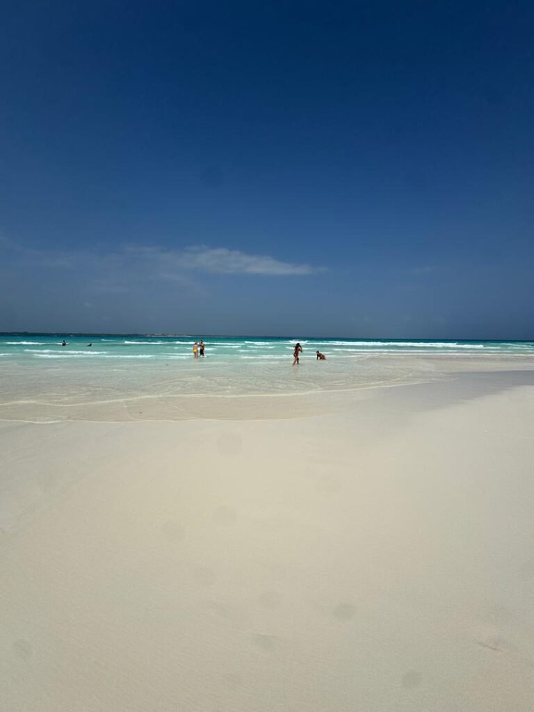 WhatsApp Image 2026-01-07 at 21.53.17