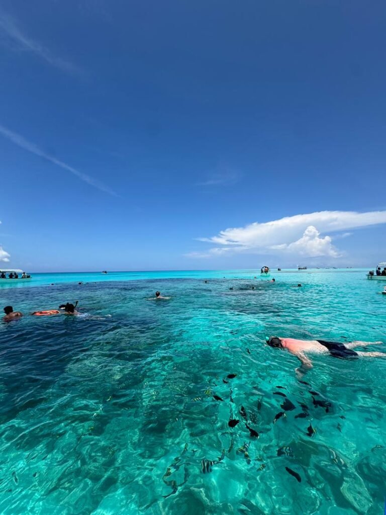 WhatsApp Image 2026-01-07 at 21.53.19 (1)