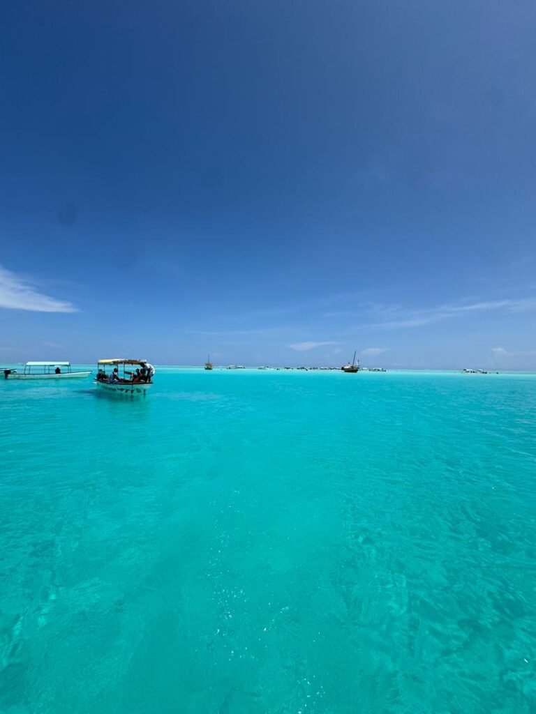 WhatsApp Image 2026-01-07 at 21.53.19