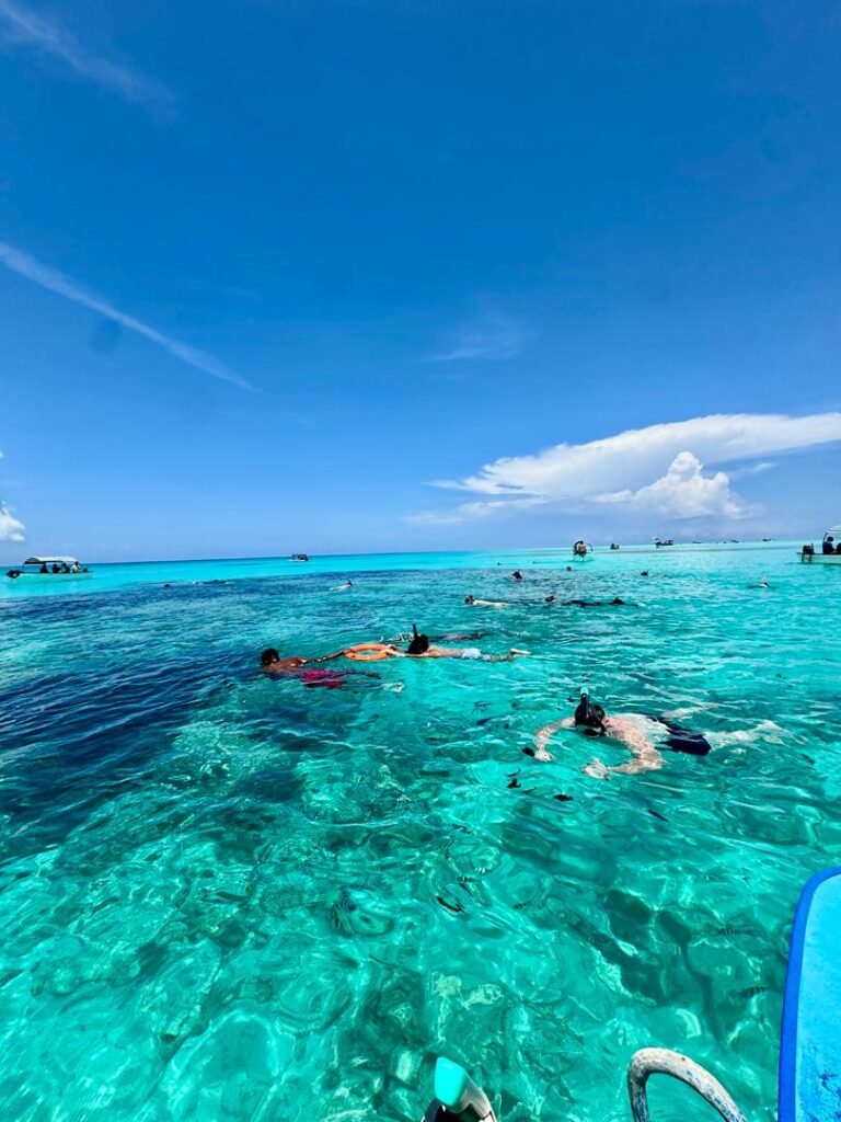 WhatsApp Image 2026-01-07 at 21.53.20