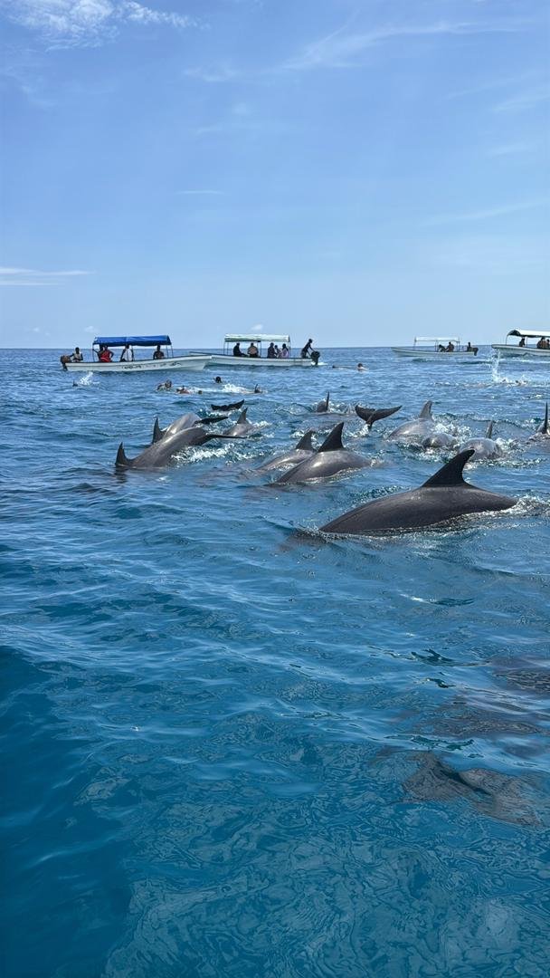 WhatsApp Image 2026-01-07 at 21.53.22