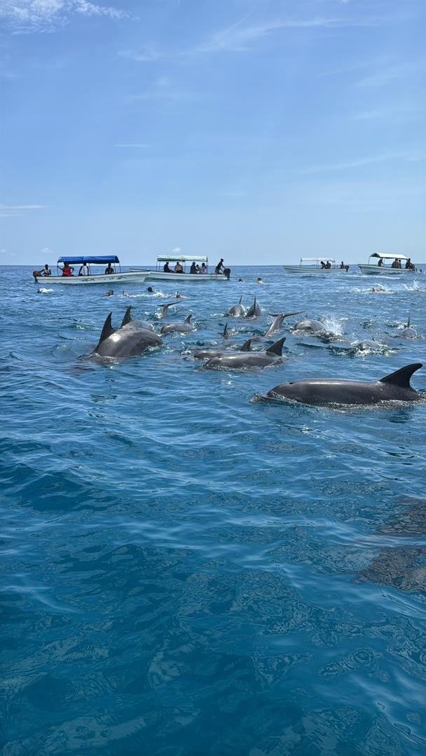 WhatsApp Image 2026-01-07 at 21.53.23