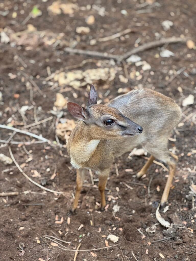 WhatsApp Image 2026-01-07 at 21.53.24