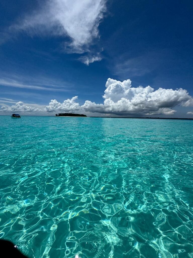 WhatsApp Image 2026-01-07 at 21.53.28