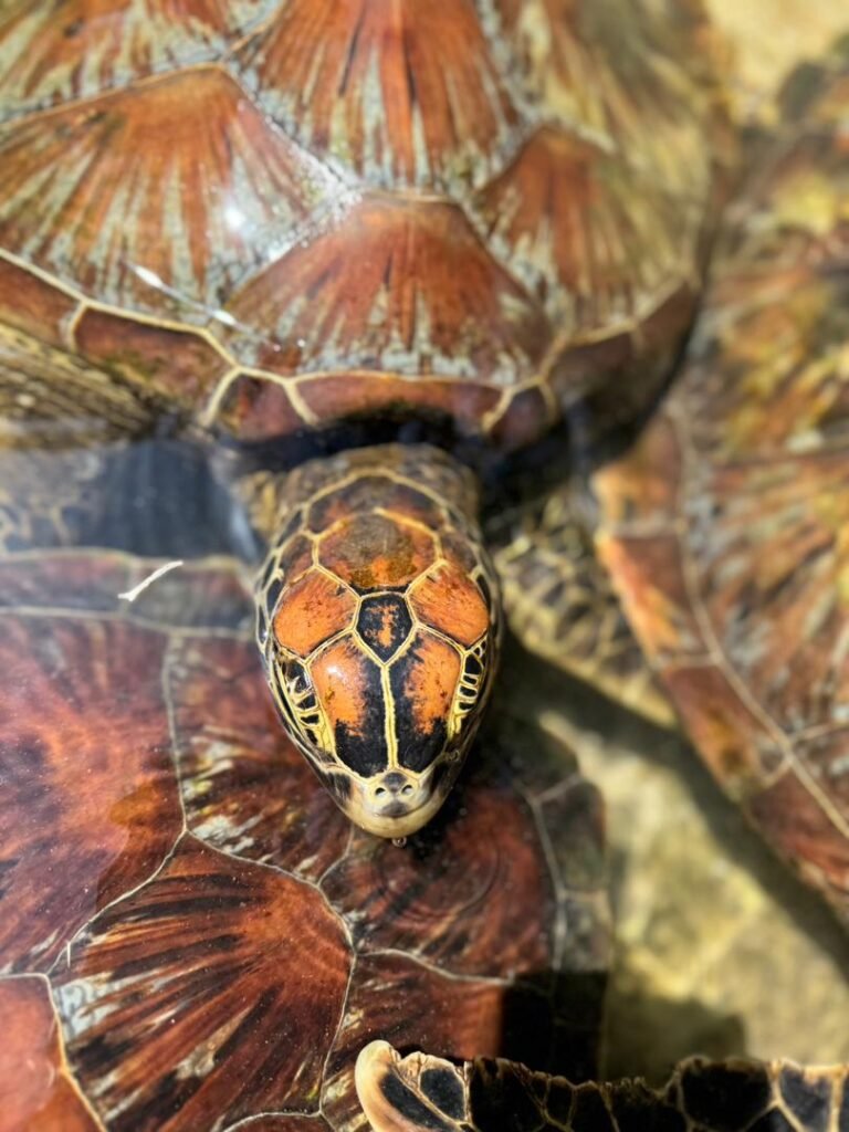 WhatsApp Image 2026-01-07 at 21.53.29