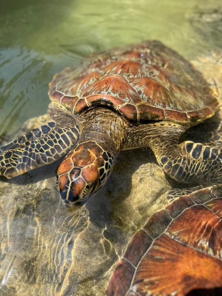 WhatsApp Image 2026-01-07 at 21.53.30