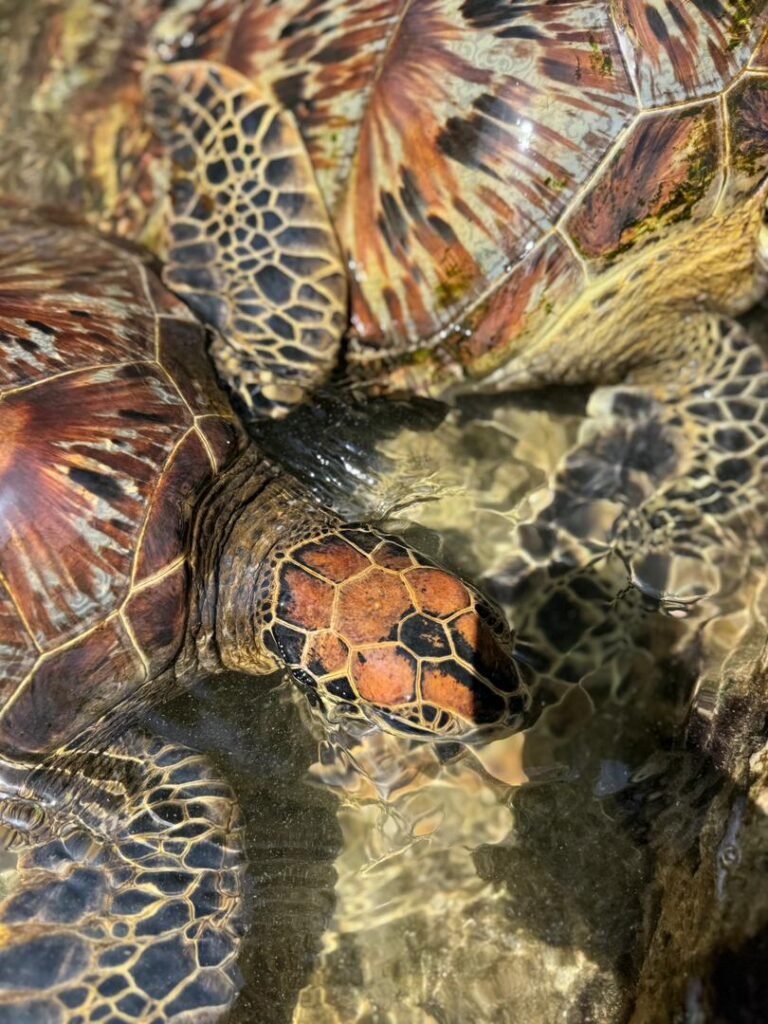 WhatsApp Image 2026-01-07 at 21.53.31 (1)