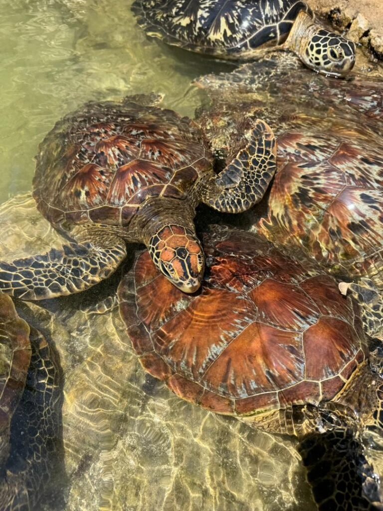 WhatsApp Image 2026-01-07 at 21.53.31