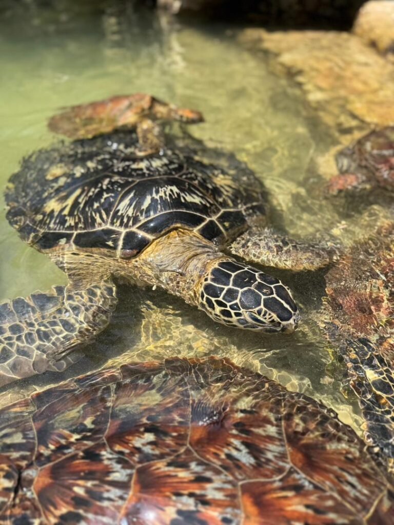 WhatsApp Image 2026-01-07 at 21.53.32