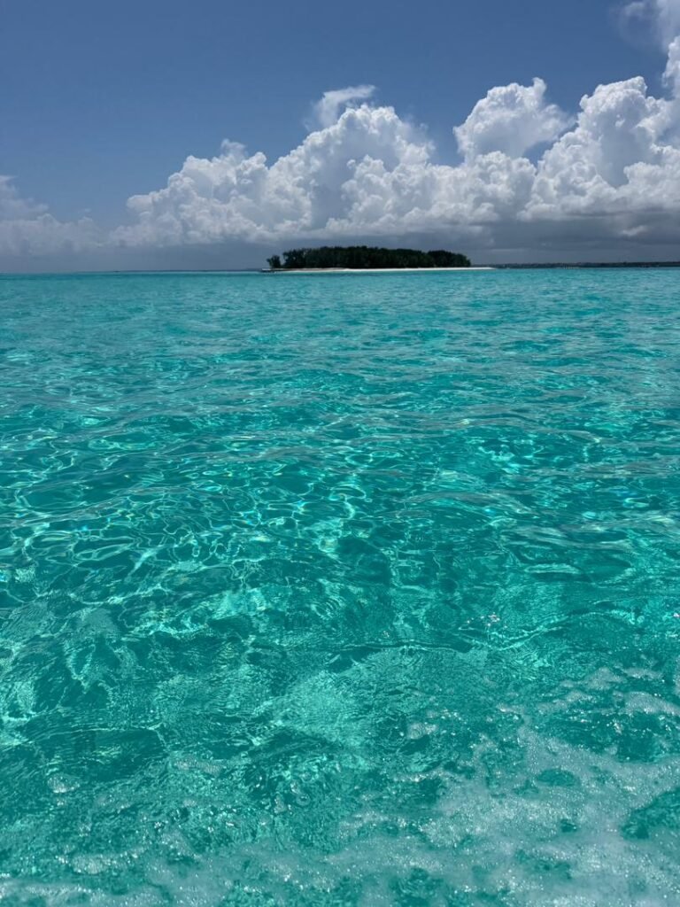 WhatsApp Image 2026-01-07 at 21.53.33