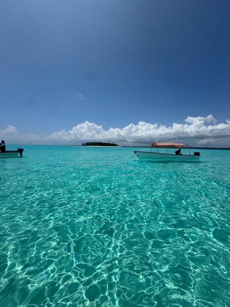 WhatsApp Image 2026-01-07 at 21.53.34