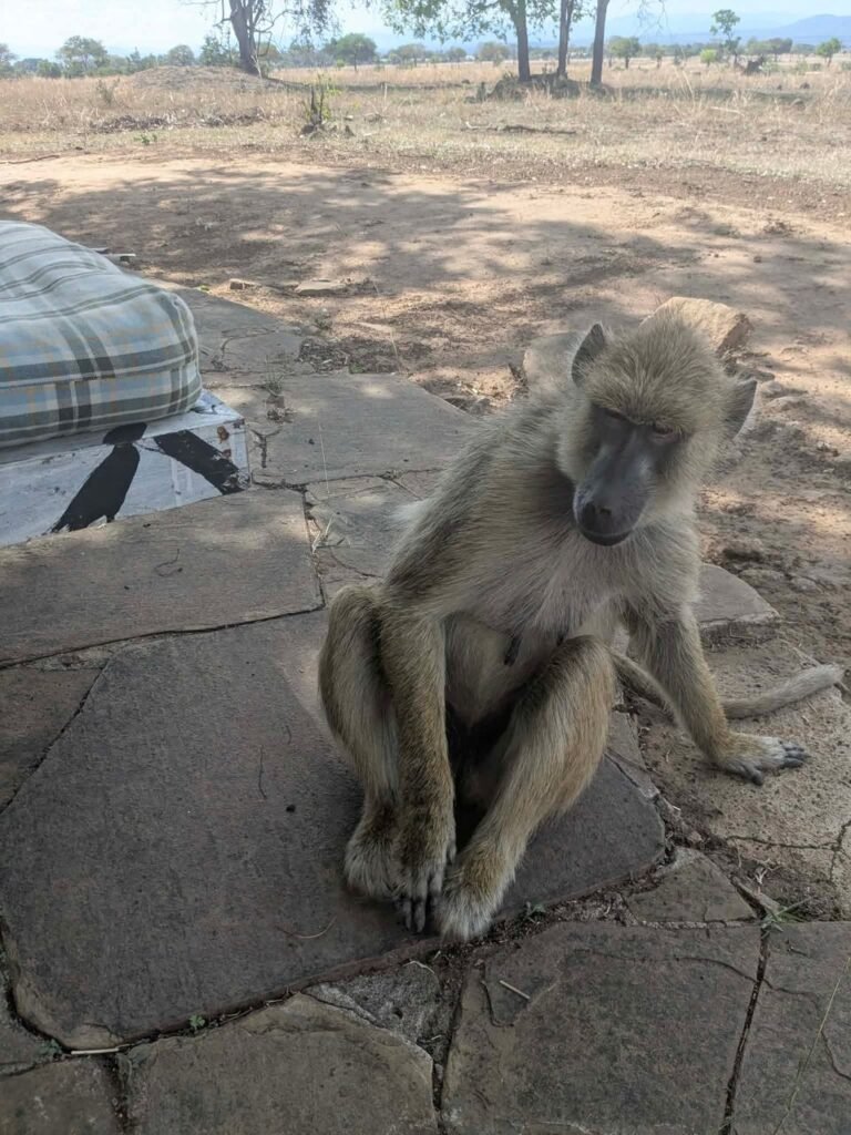 WhatsApp Image 2026-01-07 at 22.13.33