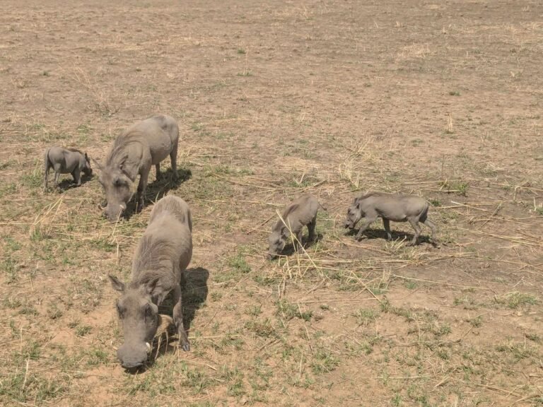 WhatsApp Image 2026-01-07 at 22.13.35 (1)