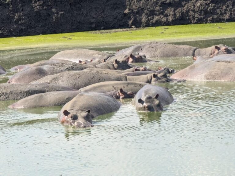 WhatsApp Image 2026-01-07 at 22.13.36 (1)