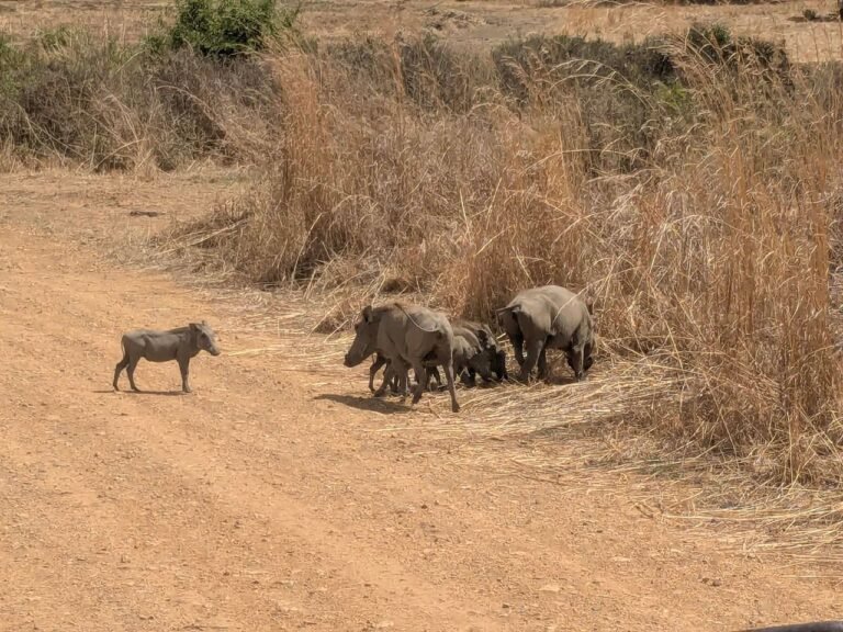 WhatsApp Image 2026-01-07 at 22.13.36