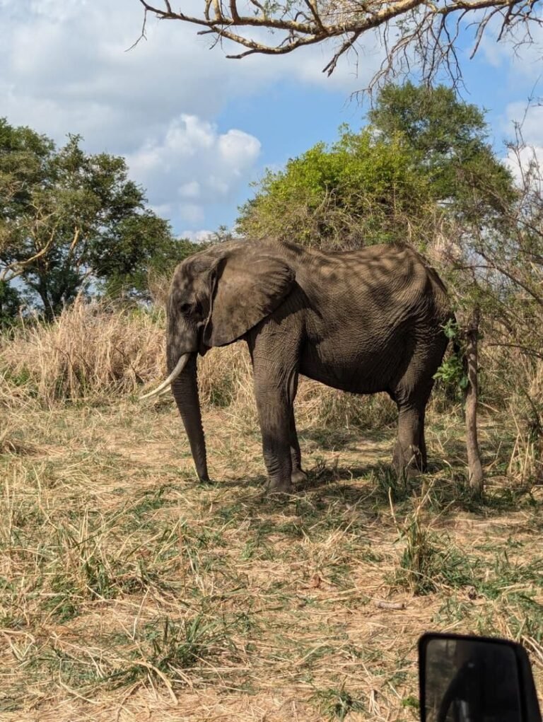 WhatsApp Image 2026-01-07 at 22.13.37