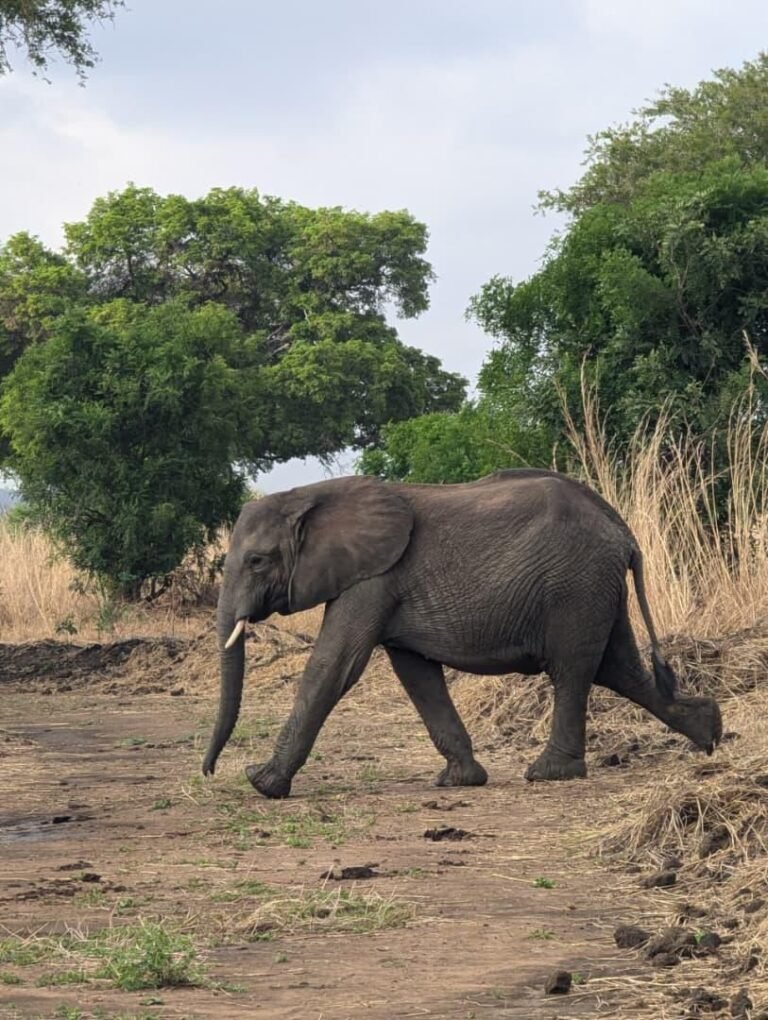 WhatsApp Image 2026-01-07 at 22.13.38 (1)