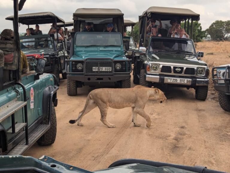 WhatsApp Image 2026-01-07 at 22.13.38