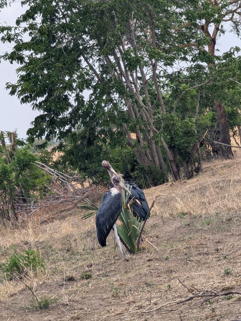 WhatsApp Image 2026-01-07 at 22.13.39